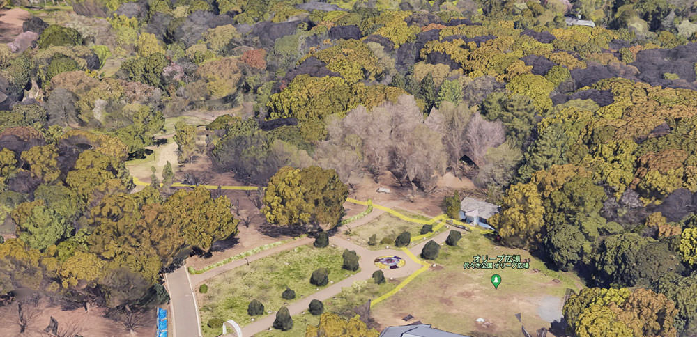 Google Maps view of Yoyogi Park