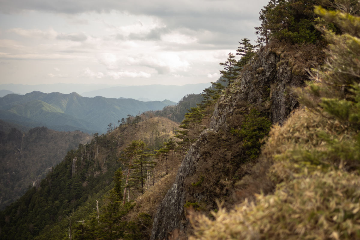 along the kumano kodo