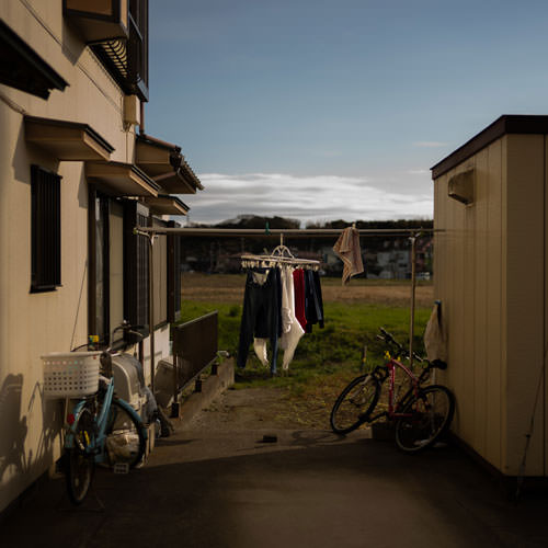 Ferociously Scary Things