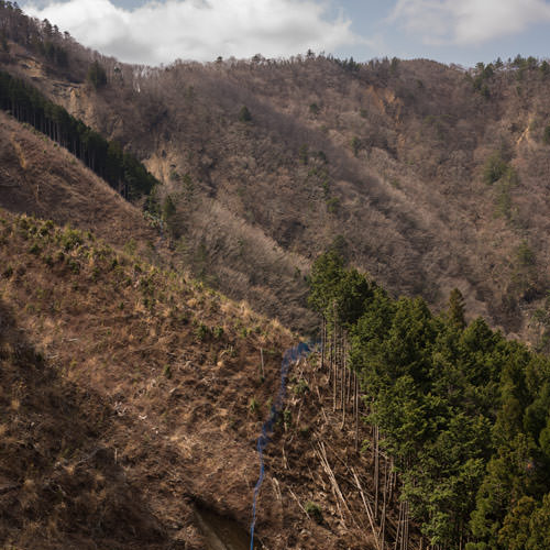 Cycles, Circuits, Collisions, Colliders