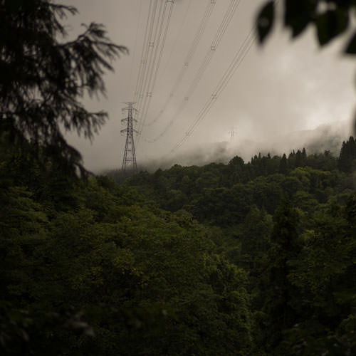 Something Like a Scent