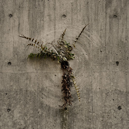 A Few Feet Above the Earth