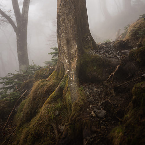 Special photo edition: Didn't Die in the Mountains