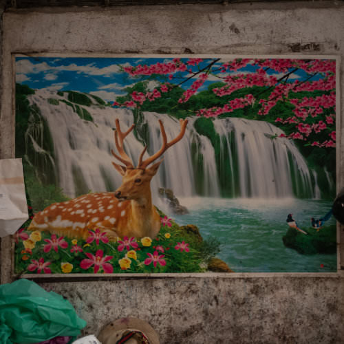 How to Walk and Talk