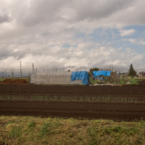 Photographs and Frames