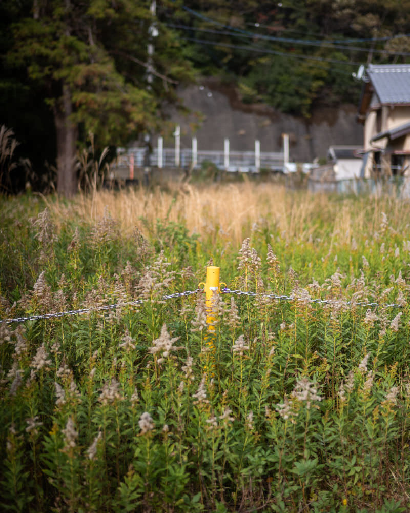 Ise-ji: post weeds