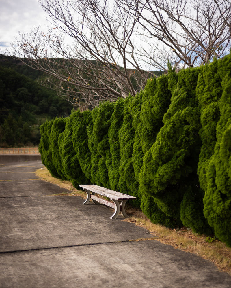 Ise-ji: bench bush