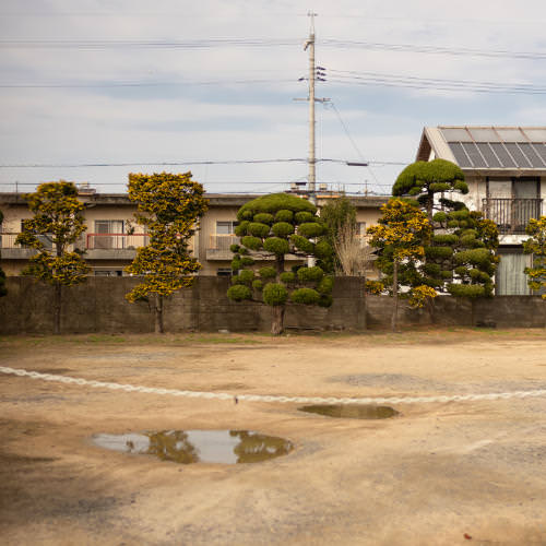 The Silver Mine with the Dog