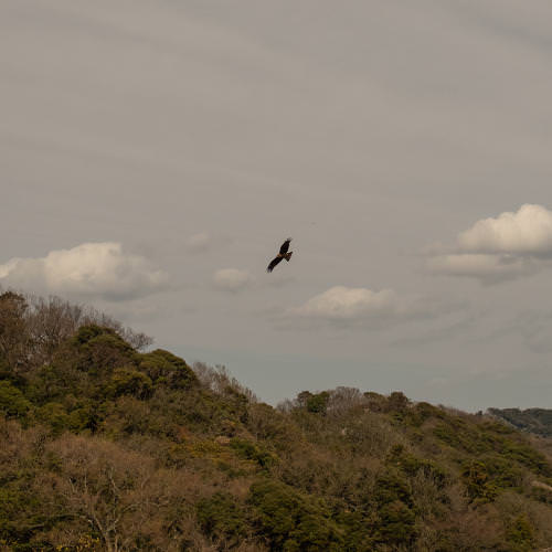 Walking in the Age of Corona