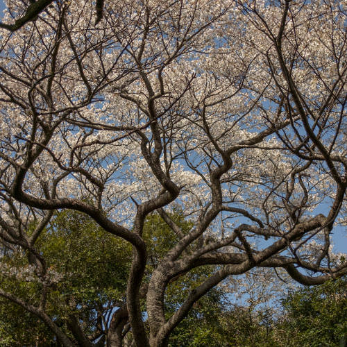 Textures Along a Quarantine Path