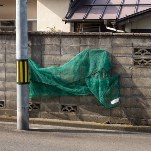 Consider Joe Pera’s Gait