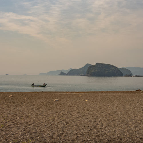 A Very Big Walking Website