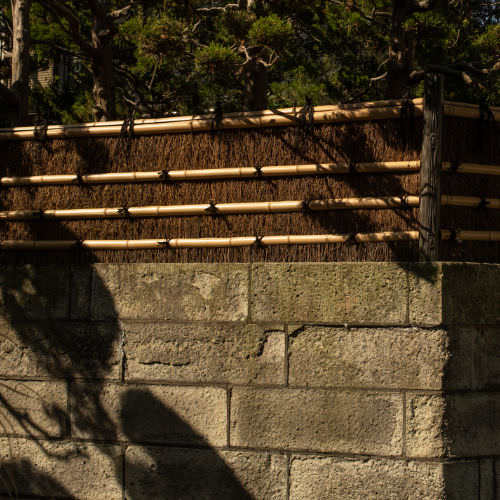 A Book from Pizza Toast — Part 3