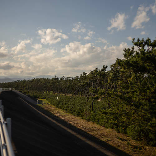 COVID-19 and Walking Japan