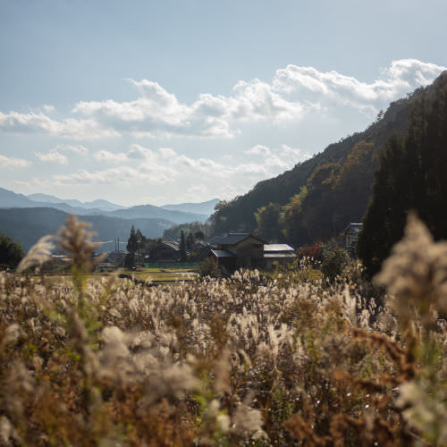 Nara, Wonderful Nara