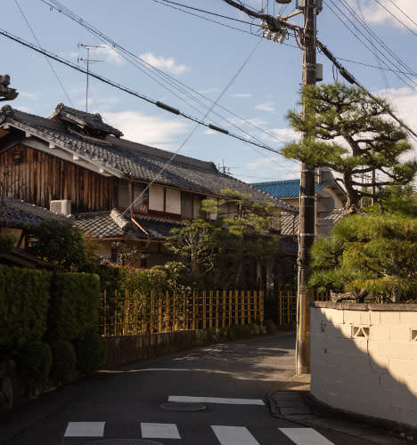 The Year in Walking, Ridgeline 2020