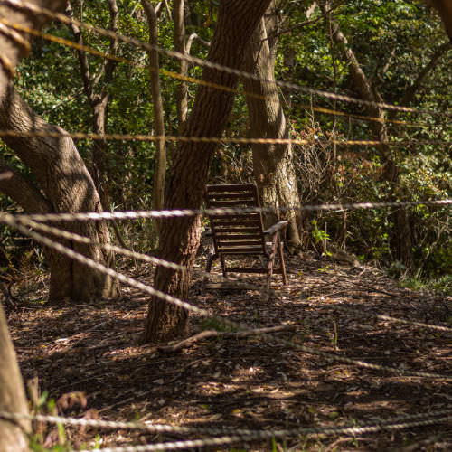 Welcome Back to Our COVID Loop