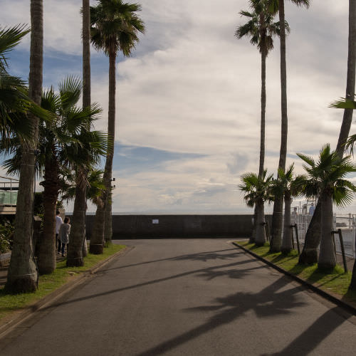 King of Summer No Tan