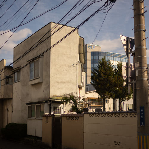 The Year in Walking — 2021