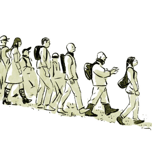 Ridgeline + Memberships, Year Four