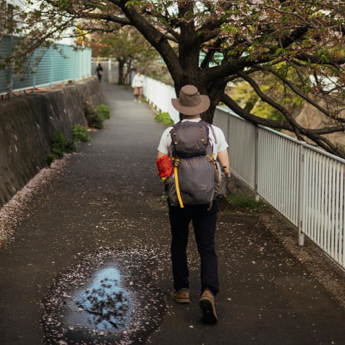 Walk for the Boredom of it All