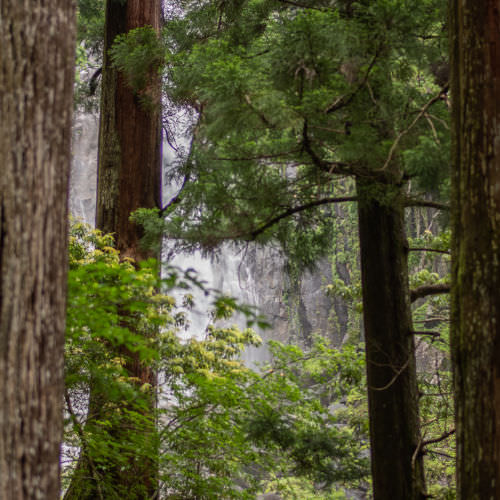 A walk around Kii in the New York Times