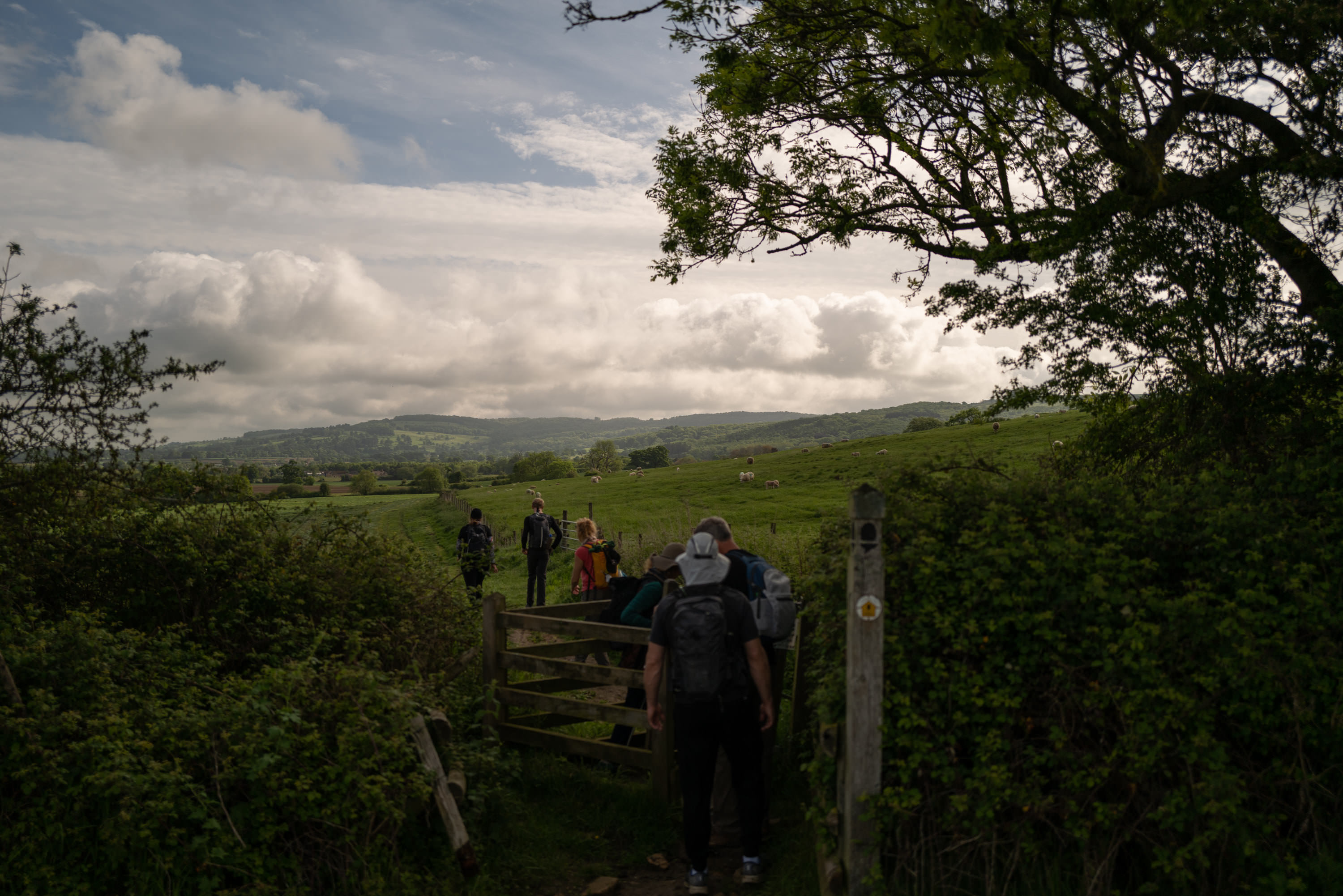 Header image for Walking the Cotswolds, Walking Japan