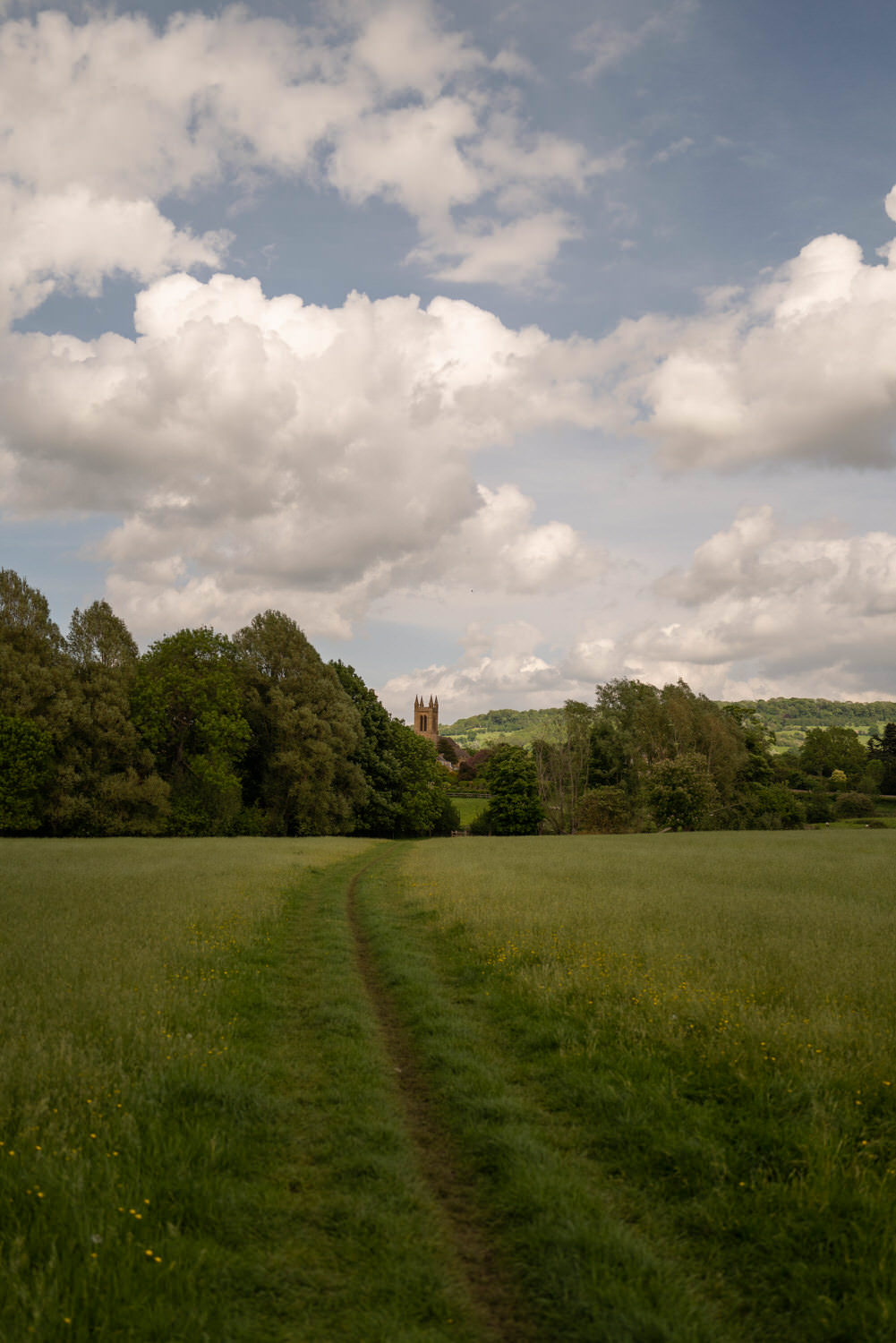 a path in the grass