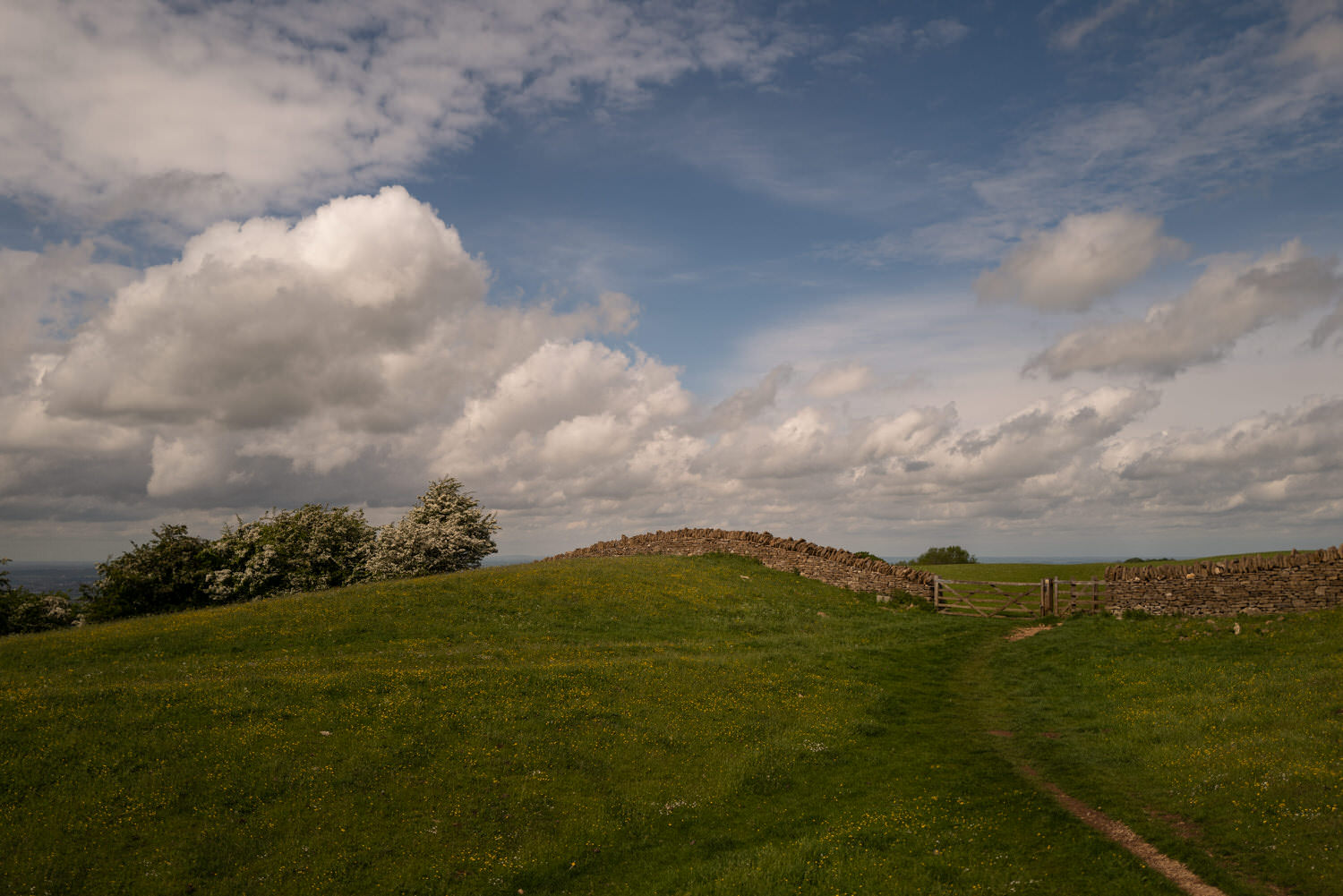 manicured laws and stone walls