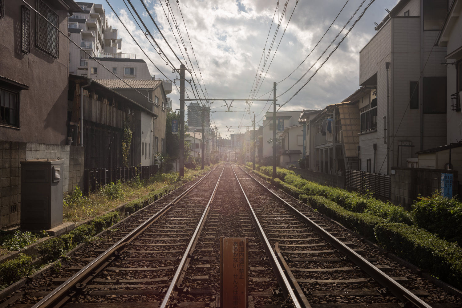 Header image for Walking TOKIO TŌKYŌ TOKYO for Seven Days