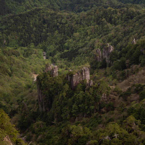 Pop-up: Kiiiiiiiiiiiiii