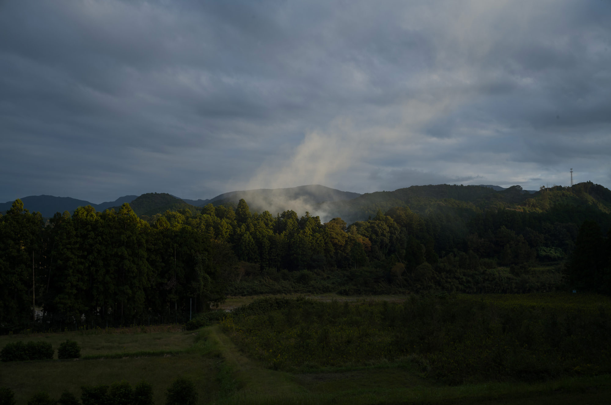 Header image for The Body on a Long Walk