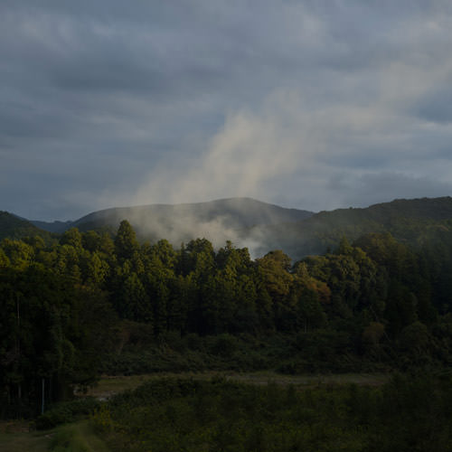 The Body on a Long Walk