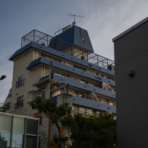 The Performance Art of the Walk