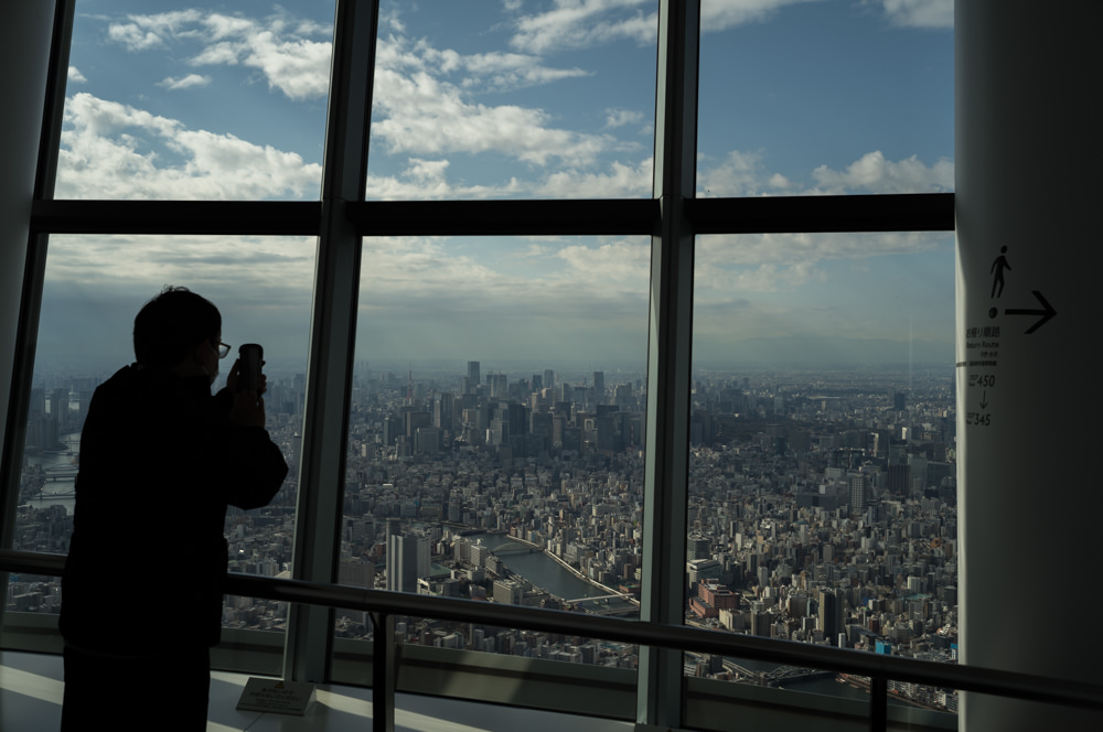 skytree view