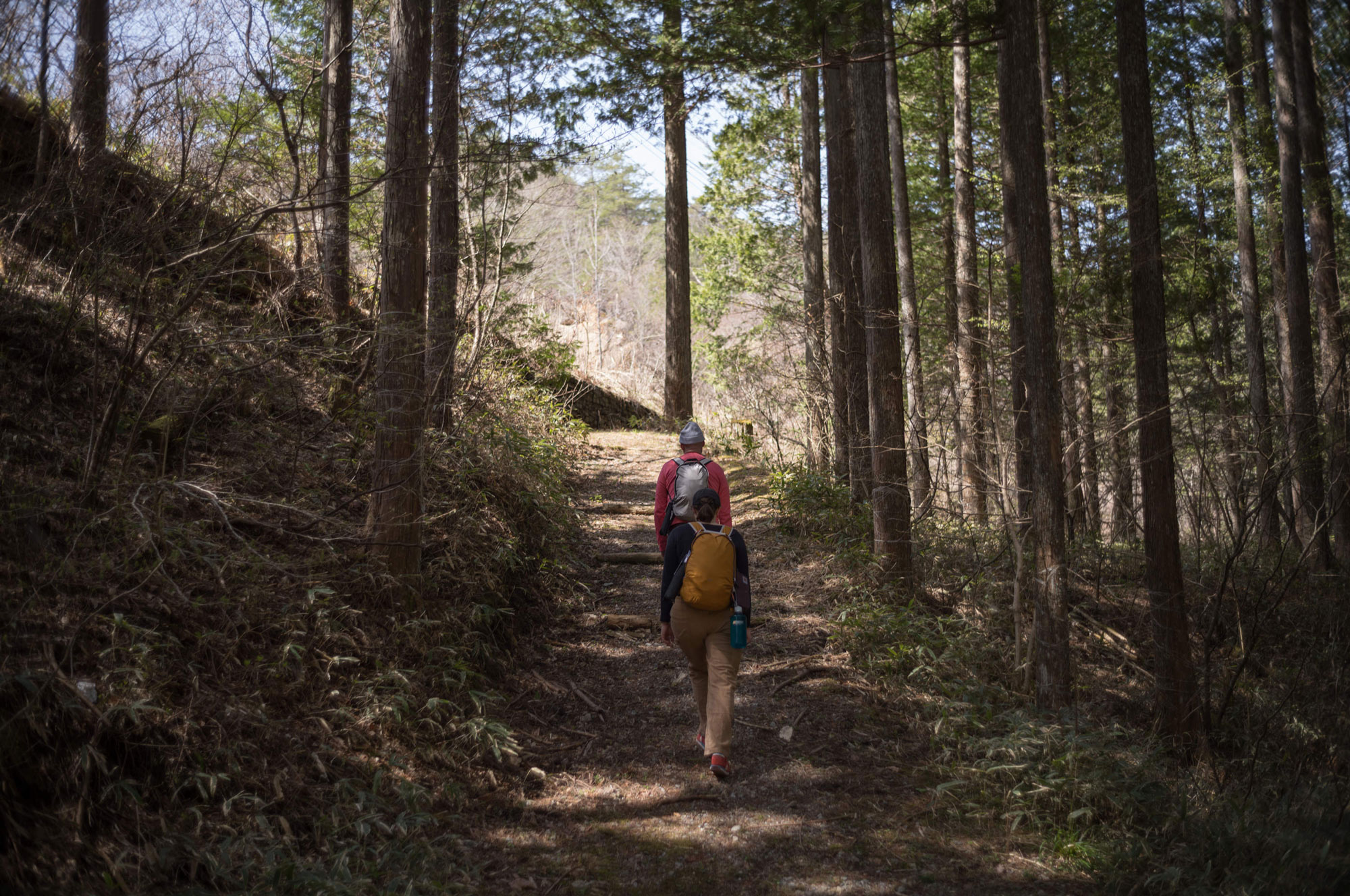 Header image for Walking the Kiso-ji [Part 1]