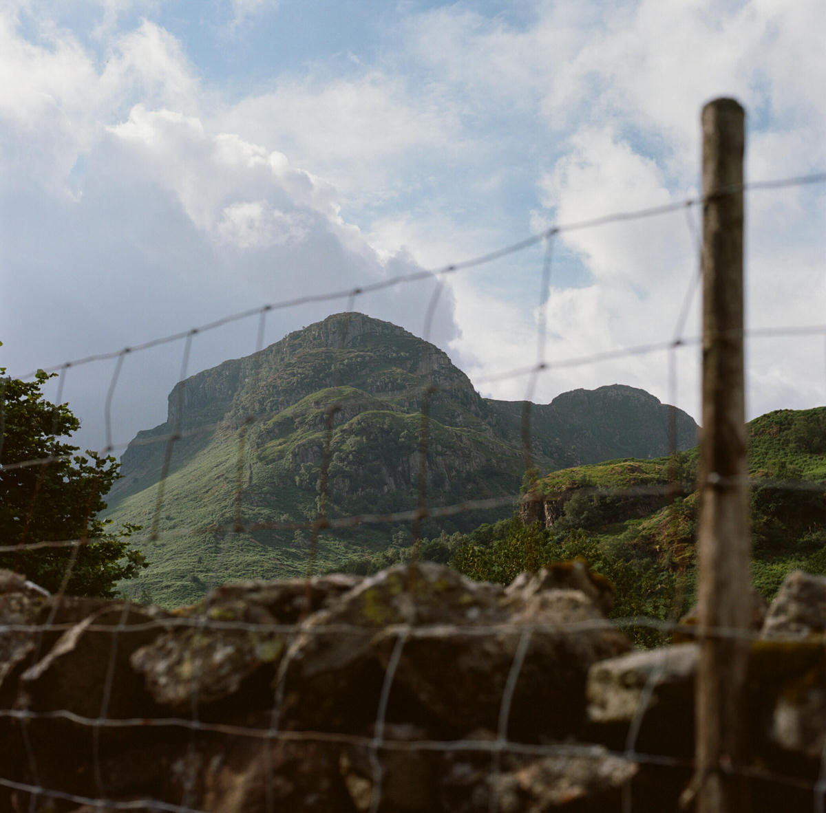 Fence and mountain
