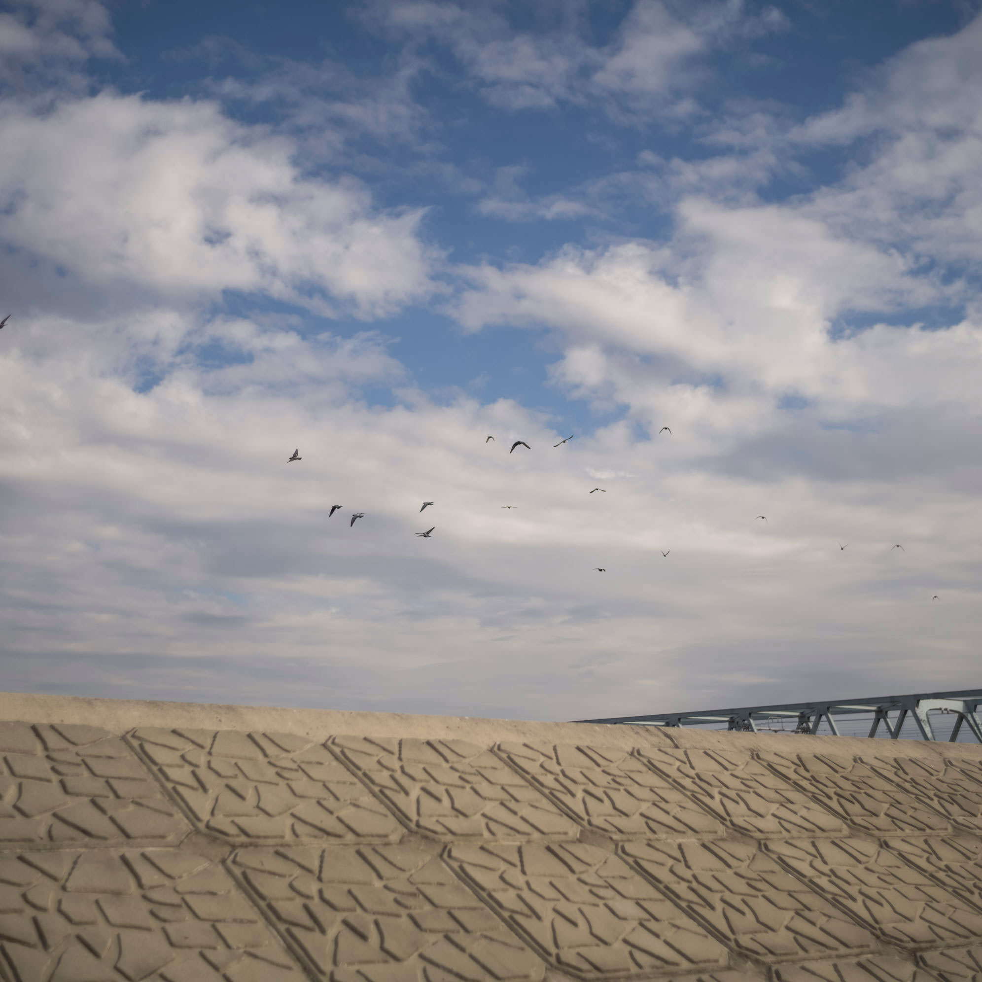 Walking TOKIO TŌKYŌ TOKYO Part Three