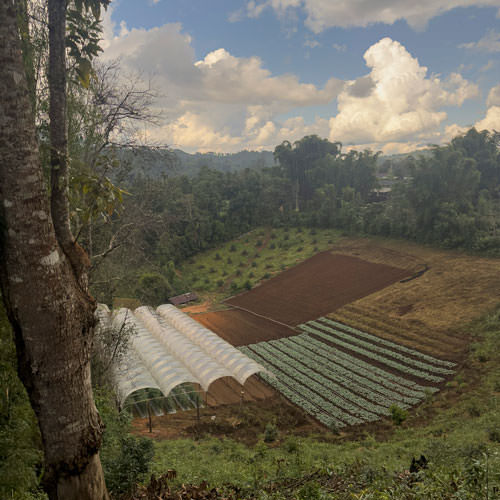 Walking the Heck out of Thailand