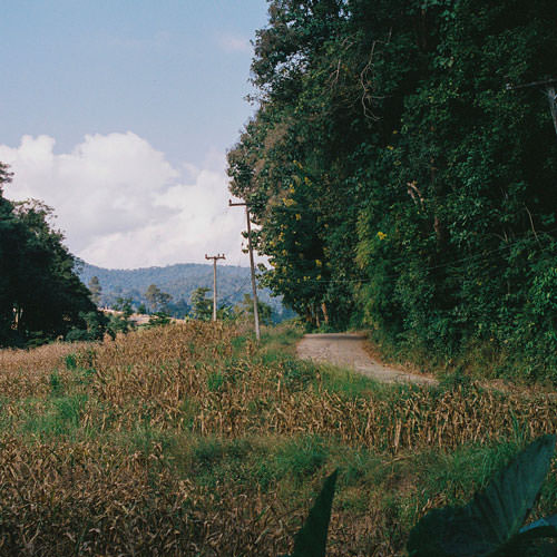 The Walk and Talk: Everything We Know