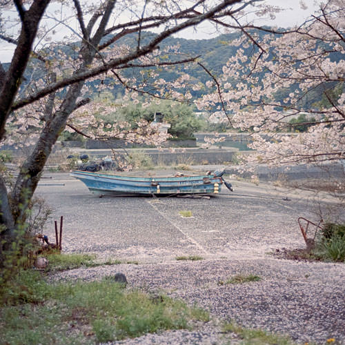 Continuous Uninterrupted Solo Walks