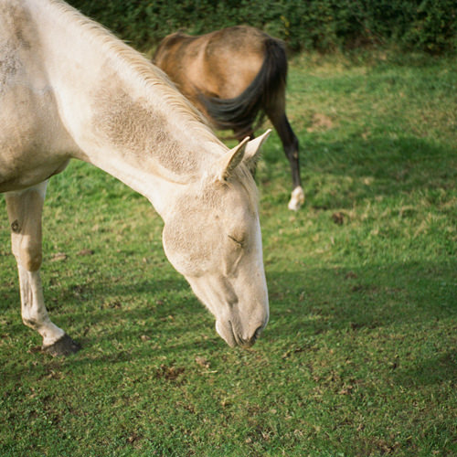Walking to Bath, London's Greatness