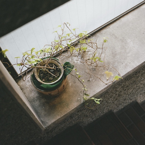 Driving the Tōkaidō