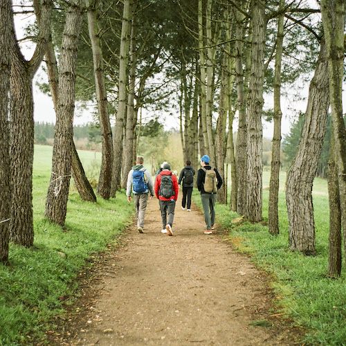 Talking While Walking the Camino Francés in Spain