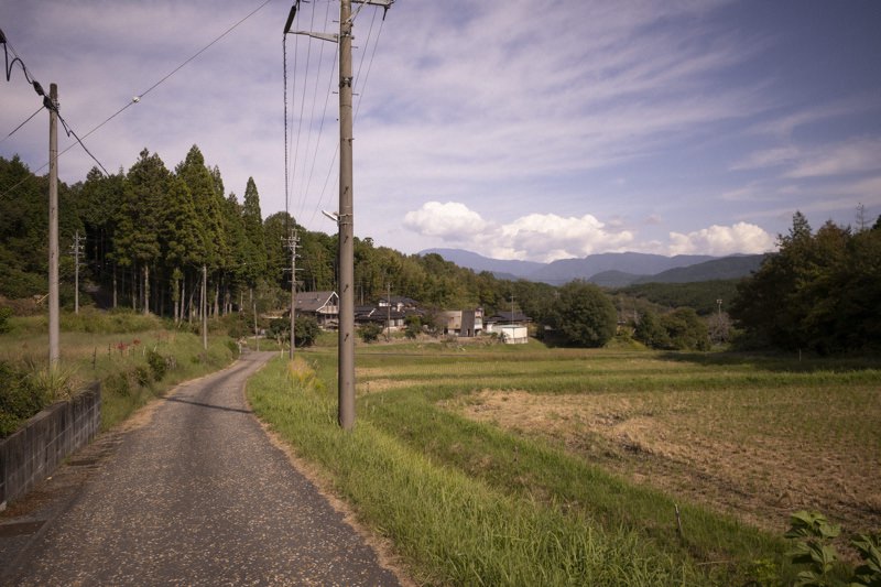 Header image for Full Days and the Long Walk