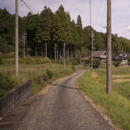 Full Days and the Long Walk