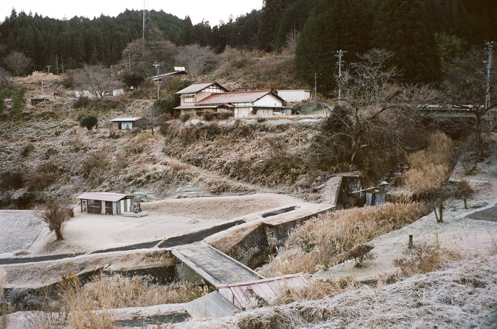 Frosted en route to Ne-no-ue Pass