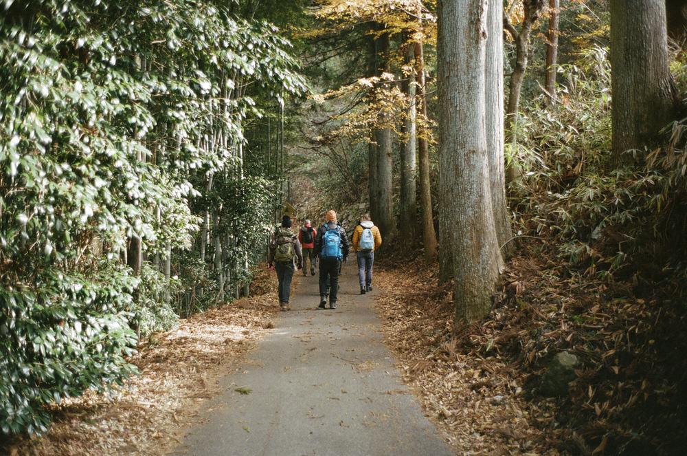 Walking the Kisoji