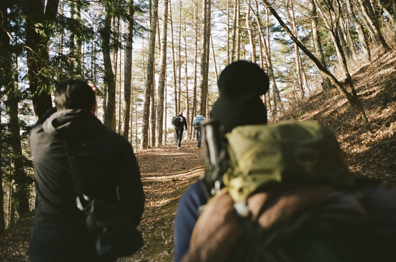 Header image for The Walk and Talk, Nagano Kiso-ji