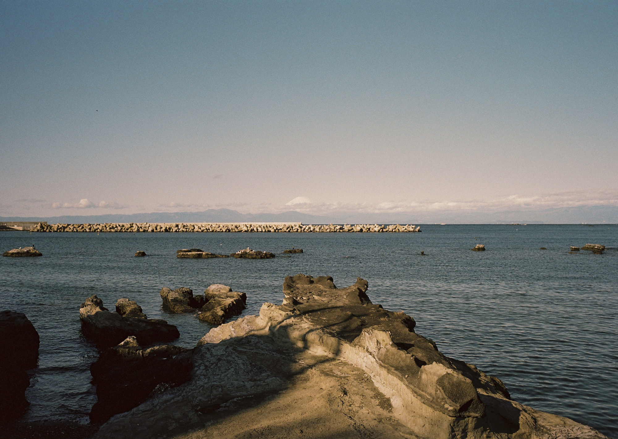 Header image for Start With a Walk